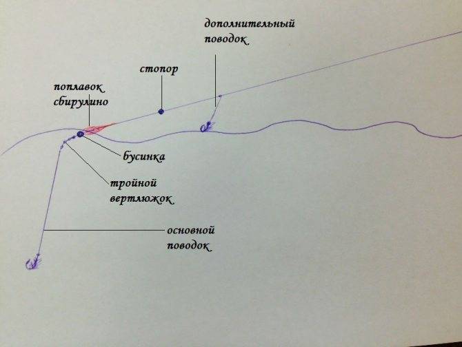 Как правильно собрать бомбарду для ловли форели