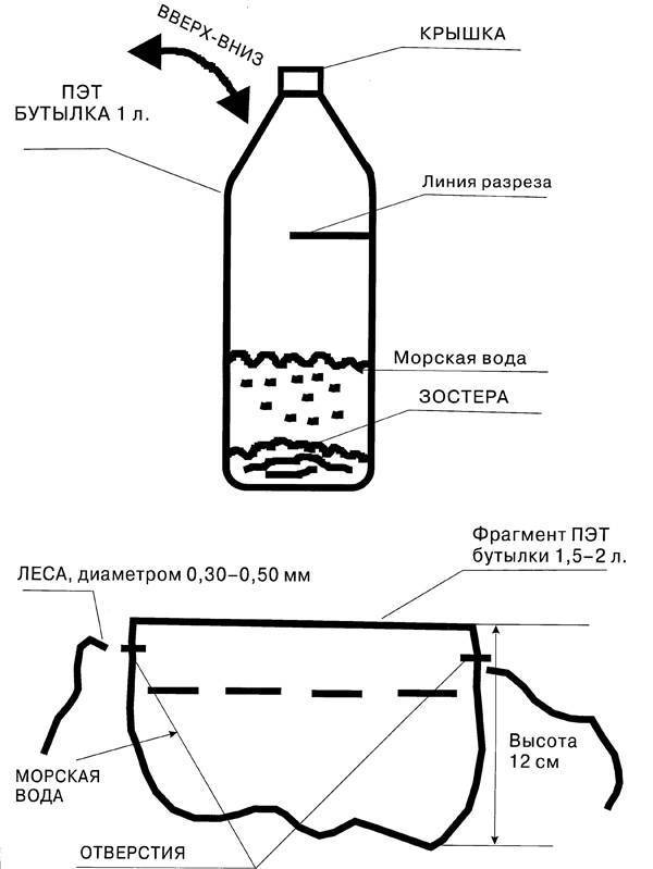 Как хранить червей для рыбалки – основные способы и советы