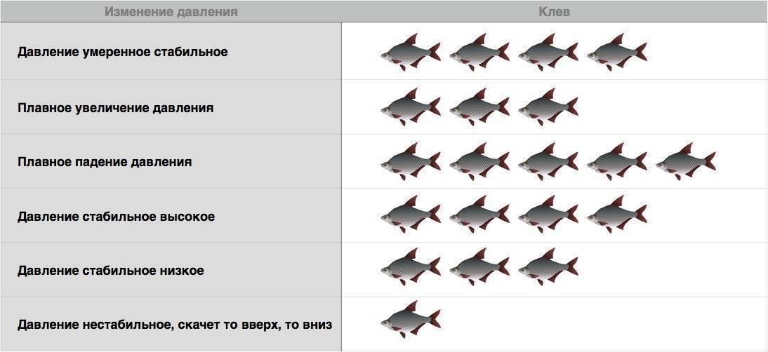 Firstfisher.ru – интернет-журнал о рыбалке и рыболовах. оптимальное давление при ловле щуки