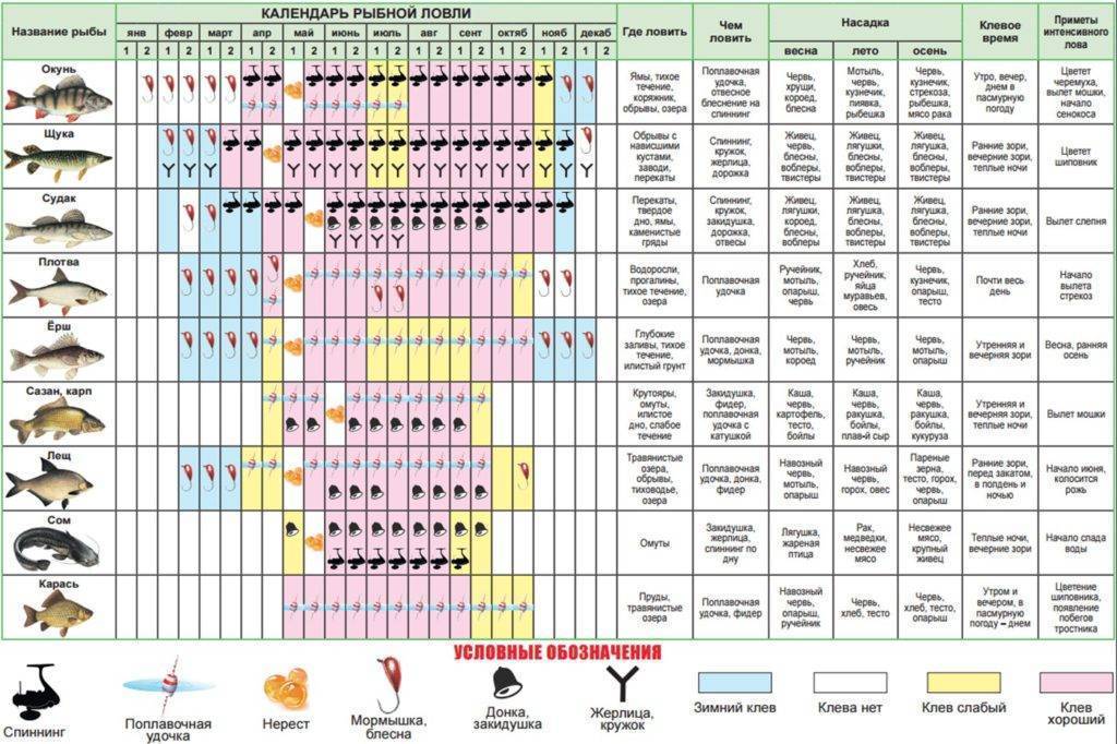 В какое время и в какую погоду лучше ловить рыбу
