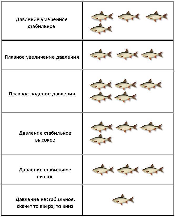 Клюет ли щука в дождь? ловля щуки в дождливую погоду