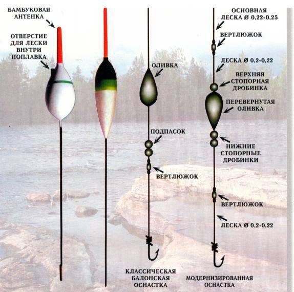 Ловля уклейки весной на поплавочную удочку — видео, необходимая оснастка