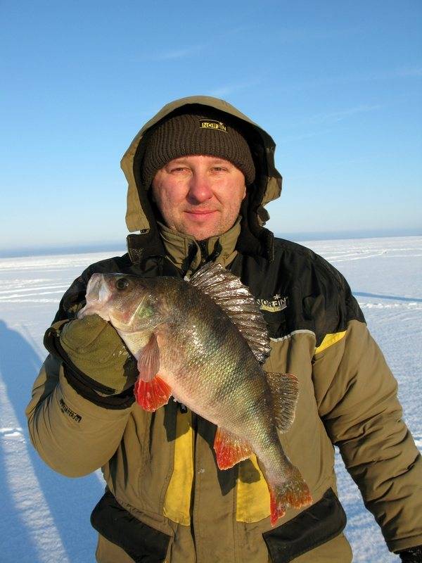 Базы на можайском водохранилище: для отдыха и рыбалки