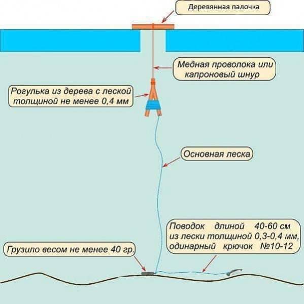 Изготовление донки на налима и техника ловли осенью