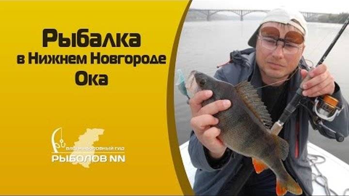 Рыбалка в нижнем новгороде: лучшие рыболовные места, ловля на гребном канале, озере лунское