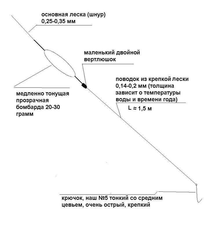 Ловля форели на бомбарду схема оснастки