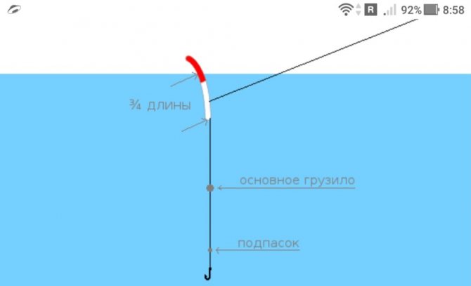 фото - ИЗ ГУСИНОГО ПЕРА СОБИРАЮ ЛЕГКУЮ УДОЧКУ, СКОЛЬКО НУЖНО ГРАММ - https://moisovetyorybalke.ru/