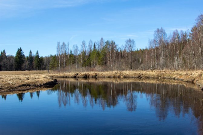 нормальное давление