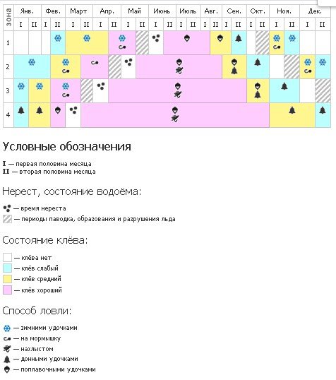 Плотва осенняя, ее повадки и ловля в сентябре, октябре и ноябре