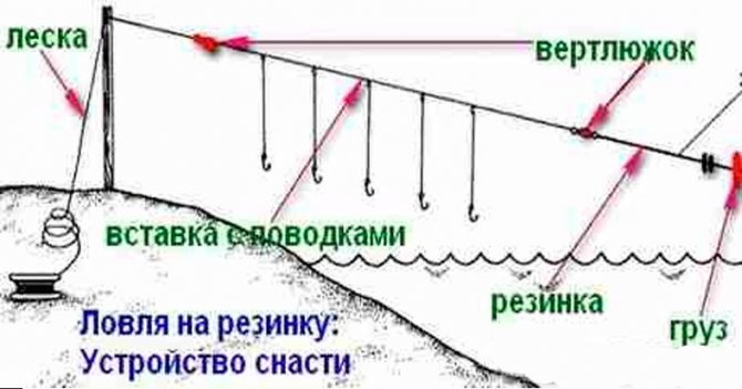 Плотва осенняя, ее повадки и ловля в сентябре, октябре и ноябре