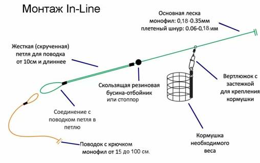 Плотва осенняя, ее повадки и ловля в сентябре, октябре и ноябре