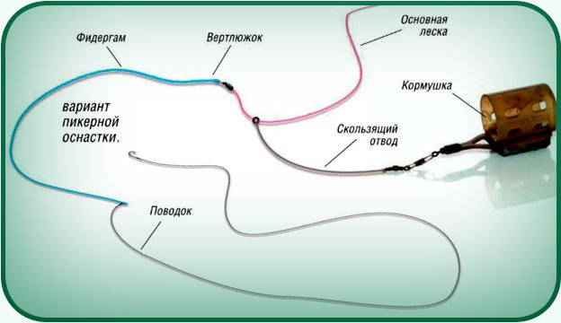 Плотва осенняя, ее повадки и ловля в сентябре, октябре и ноябре