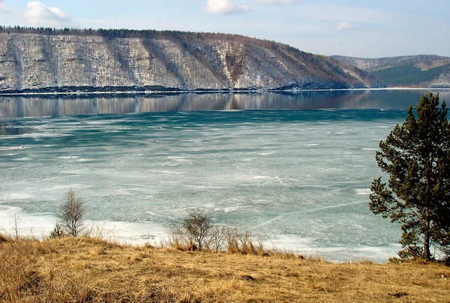 Шоша: рыбалка и какая рыба водится