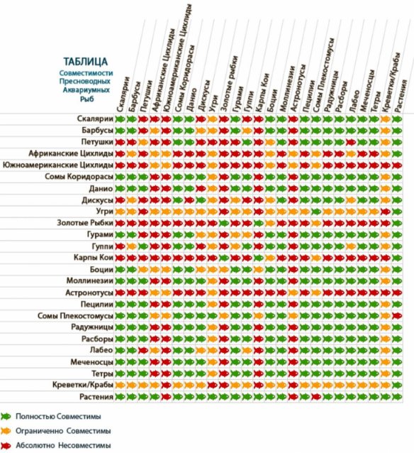 Совместимость аквариумных рыбок