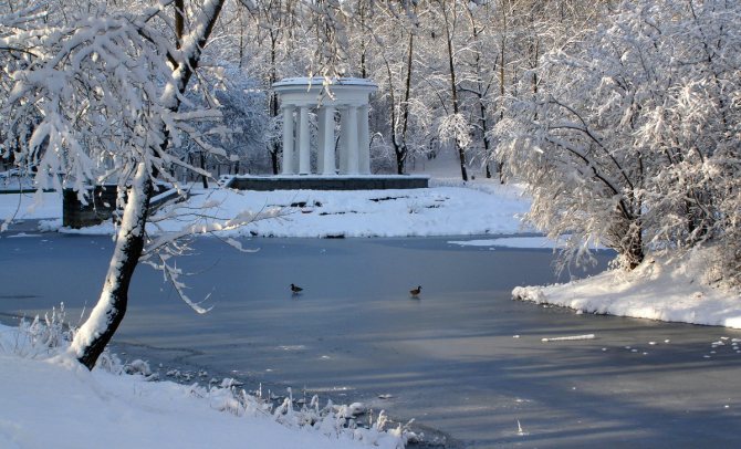 замерзший водоем